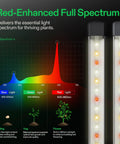 Graph of red-enhanced full spectrum with two 16-inch LED bars showcasing light spectrum essential for plant growth.