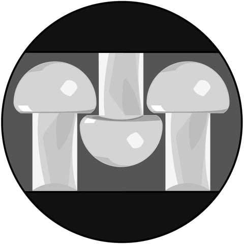 Dual Lock Reclosable Fastener SJ3541 SJ3542 black mushroom head design detail