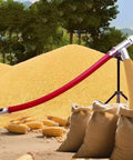 Portable Grain Suction Pump With Low Noise Hose Conveyor And Auger Screw System in field near grain pile
