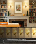 Rechargeable Battery Powered Wall Sconces Set Of Two With Dimmable Led Lights And Wireless Remote Usb C Charging Port For Living Rooms solid lighting displayed with bookshelves.