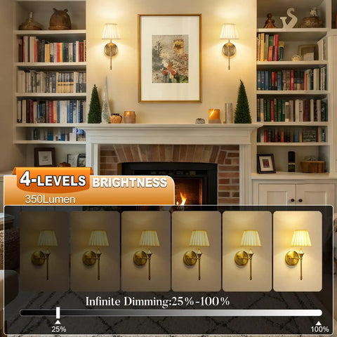 Rechargeable Battery Powered Wall Sconces Set Of Two With Dimmable Led Lights And Wireless Remote Usb C Charging Port For Living Rooms solid lighting displayed with bookshelves.