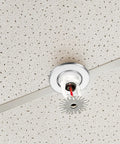 Ceiling installation of 18 Piece Heavy Duty Metal Sprinkler Escutcheon Plates, heat resistant and modern design.