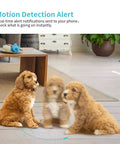 2K HD Pet Camera With 360 Degree Pan Tilt 8X Optical Zoom Night Vision capturing motion of a dog in a living room