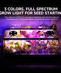 No Fuss All In One Indoor Seed Starter Kit With Color Changing Grow Lights For Seed Germination displaying seedlings under purple LED light