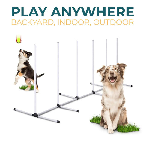 Dog Agility Training Set With 4 Piece Obstacle Course Including Jump Bar Tire Jump Pause Box And Weave Poles Plus Carrying Case