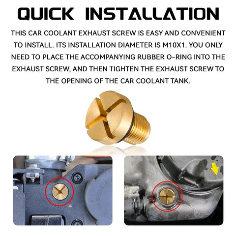 Premium Brass Radiator Coolant Expansion Tank Bleeder Screw With Heavy Duty Rubber O Ring showing installation details and threaded design.