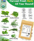Various fresh herbs and a seed pack showcasing an Eight Pod Gourmet Herb Seed Kit For Hydroponics With Basil Parsley Thyme Mint Cilantro Dill Oregano Chives Seed Pod Set Compatible With AeroGarden Idoo Ahopegarden Gardencube And Other Hydroponic Systems All In One Easy Grow Starter Pack.
