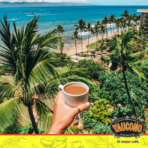 A hand holding a cup of coffee with a tropical beach view lined with palm trees. "Yaucono, el mejor café" logo at the bottom.