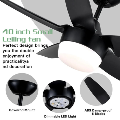 40 Inch Black Ceiling Fan With Lights And Remote Modern Indoor Ceiling Fan With Dimmable Lights Reversible Five Blade Design