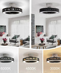 20 Inch Flush Mount Ceiling Fan With Lights And Remote App Control, Enclosed Black Ceiling Fan, 3 Speed Wind, 3 Color Dimmable