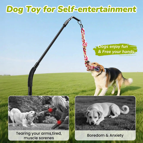 Dog playing with 360 Degree Rotation Tether Dog Rope Toy Set For Solo Yard Park Play in a grassy field.