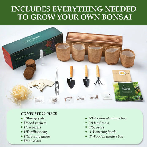 Five Vibrant Bonsai Kit For Beginners With seeds, pots, tools, and manual displayed on table.