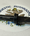 Mushroom Drill Bit For Plug Spawn With Quick Attach To Drills, 8.5 mm, precise hole for 5/16x1 spawn, durable construction