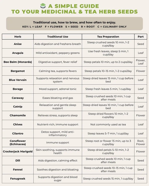 A guide showing the traditional use, tea preparation, and parts used for various medicinal and tea herbs including anise, arugula, and bee balm.