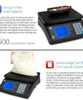 Display of MS20 Coin Counting Scale for cash and currency with digital screen showing value and weight, handles coin bags.