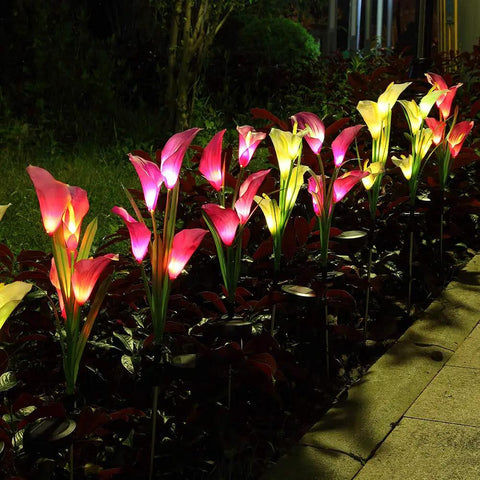 Three Pack Solar Garden Stake Lights With Realistic Calla Lily Flowers illuminating a pathway with seven color changing LEDs, purple and white