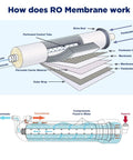 Illustration showing how DIY 150 GPD Reverse Osmosis Membrane Kit With 12 Inch Membrane Housing For Under Sink Water Filter System works.