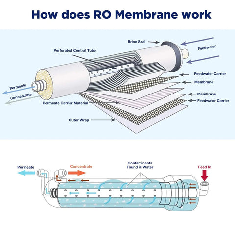 Illustration showing how DIY 150 GPD Reverse Osmosis Membrane Kit With 12 Inch Membrane Housing For Under Sink Water Filter System works.