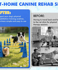 Backyard Dog Agility Training Set With Height Adjustable Crossbar, 12 detachable poles, and 6 cones used by dogs in rehab