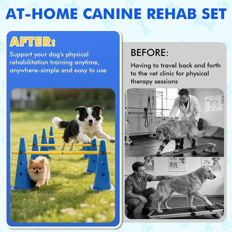 Backyard Dog Agility Training Set With Height Adjustable Crossbar, 12 detachable poles, and 6 cones used by dogs in rehab