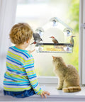 Clear Window Bird Feeder With Five Extra Strong Suction Cups For Quick No Mess Viewing Of Wild Birds From Inside Your House