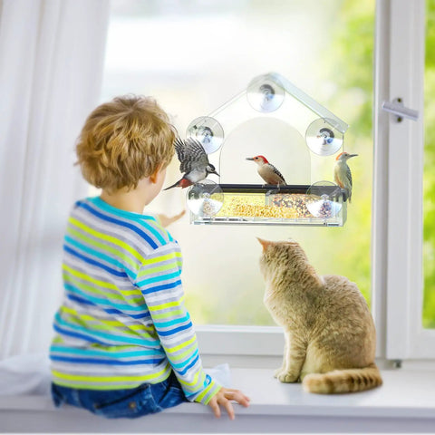 Clear Window Bird Feeder With Five Extra Strong Suction Cups For Quick No Mess Viewing Of Wild Birds From Inside Your House