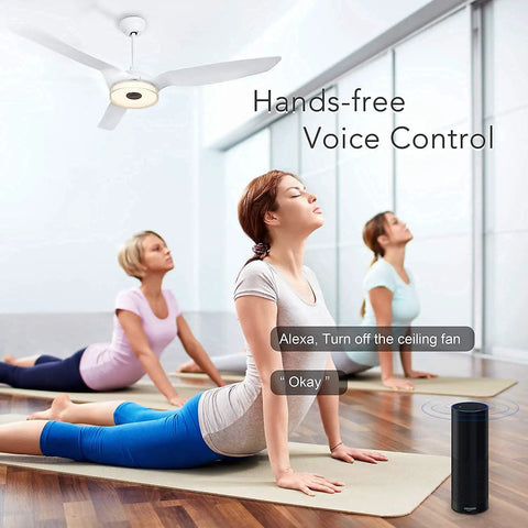 60 Inch Smart Ceiling Fan With Light And Remote Alexa Google Siri Compatible in a yoga class showing voice control