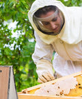 Beekeeper using Bee Smoker Bellows For Beehive Replacement Plywood Box With PVC Leather Clip Included 19x12 Cm, close-up