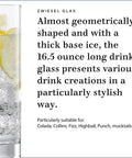 Close-up of Paris Iceberg Long Drink Glasses Set Of 6, 16.5 Ounce Tritan Crystal with thick base and stylish lemon slice in glass