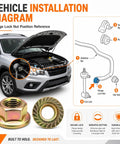 Vehicle installation diagram showing M10-1.25 Exhaust Flange Nuts for secure fit on stabilizer bar and components.