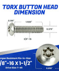 No Bull Tamper Resistant Torx Security Screws 3/8-16 X 1-1/2 Inch dimensions showing stainless steel button head detail.