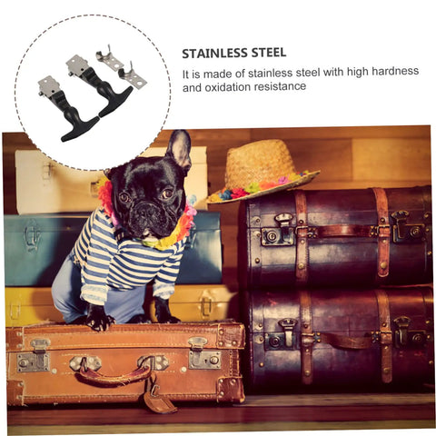 Heavy Duty Draw Latches Kit With Brackets, Stainless steel toolbox latches shown above a dressed dog and vintage suitcases.