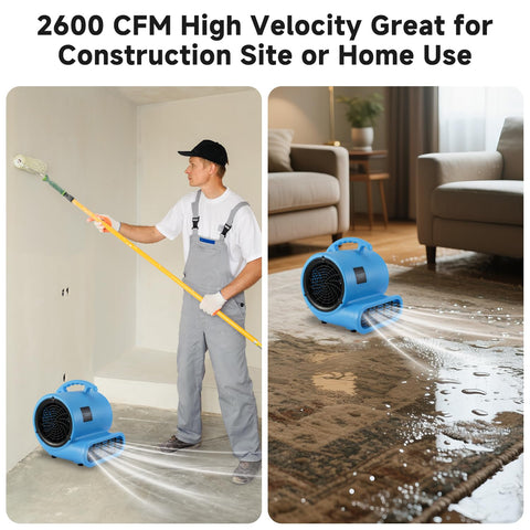 Half HP Carpet Dryer Fan With 2600 CFM Air Blower for fast home drying in use; ideal for basements and laundry rooms, blue model
