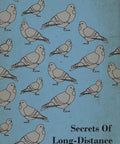 Long Distance Pigeon Racing Mastery For Real World Bird Hobbyists Real Talk On Breeding Training And Racing Performance From A 1930s Racing Legend To Boost Your Birds Speed And Stamina Every Flight Counts, illustration of pigeons on blue cover.
