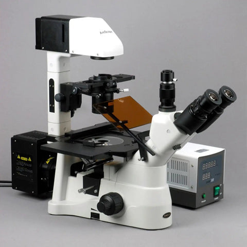 Inverted Microscope With Phase Contrast And Fluorescence 40X To 1200X Magnification Mercury Lamp Illumination on gray background