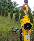Viking Manual Lever Chain Hoist Three Quarter Ton 1650 Lbs Lift Capacity 20 Feet with heavy duty hook outdoors