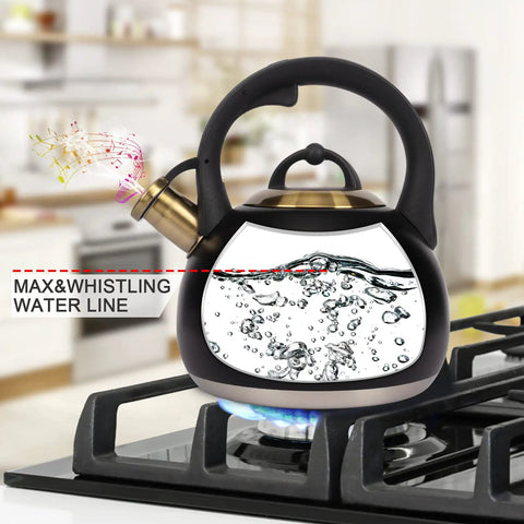 Stovetop Tea Kettle Made From Food Grade Stainless Steel 3.1 Quart Whistling Water Kettle for Home and Kitchen heating on stove