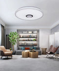 All In One 36W LED Ceiling Light With Bluetooth Speaker Remote Control Timable RGB Color Changing Modern Flush Mount For Living Room