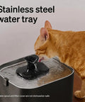 Cool Upgrade Cat Water Fountain With Stainless Steel Tray Dockstream 2 Indoor 3L 101oz Auto Cat Fountain with cat drinking