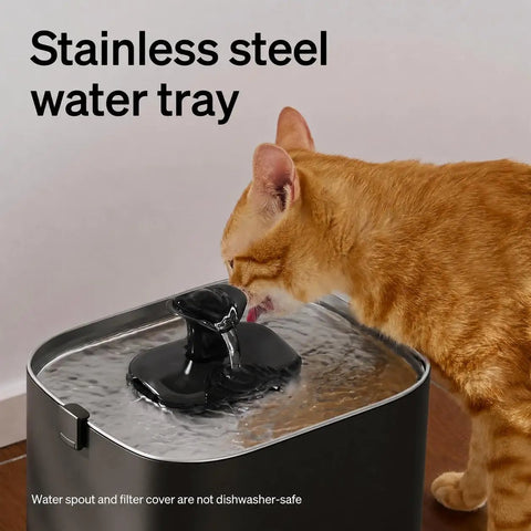Cool Upgrade Cat Water Fountain With Stainless Steel Tray Dockstream 2 Indoor 3L 101oz Auto Cat Fountain with cat drinking