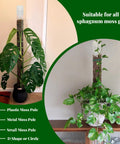 Adjustable Moss Pole Watering Dripper Pro with flow control in use on Monstera and Epipremnum, suitable for all sphagnum moss poles