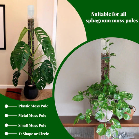 Adjustable Moss Pole Watering Dripper Pro with flow control in use on Monstera and Epipremnum, suitable for all sphagnum moss poles