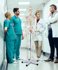 Life Size Human Skeleton Model, 70.8 Inches Tall, Movable Arms and Legs, Detailed Nervous System on Rolling Stand with doctors