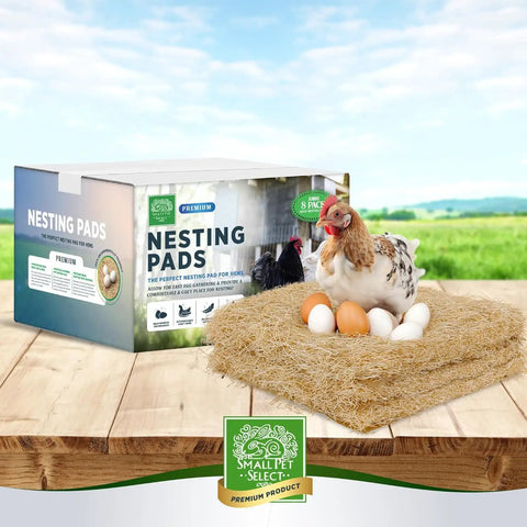 Cozy Egg Nesting Pads For Hens, 8 Pack, 13x13 Inches, eco friendly biodegradable aspen cushion with eggs and chicken