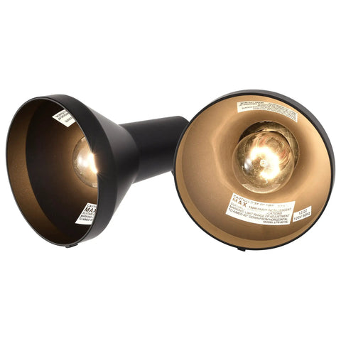 Two Light Outdoor Wall Mount Flood Light In Dark Bronze Finish Uses PAR38 Bulbs Weatherproof Wet Location Rated