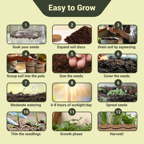 Indoor Herb Garden Kit With 44 Piece Starter Set For Your Kitchen Windowsill Or Balcony Grow 10 Gourmet Herbs step-by-step guide