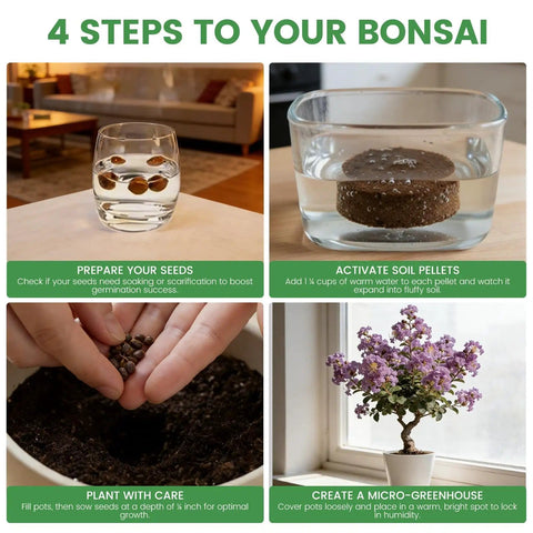 4-step guide to using Beginner Bonsai Kit With Five Seed Packets Five Grow Pots And Essential Tools For Indoor Bonsai Growth