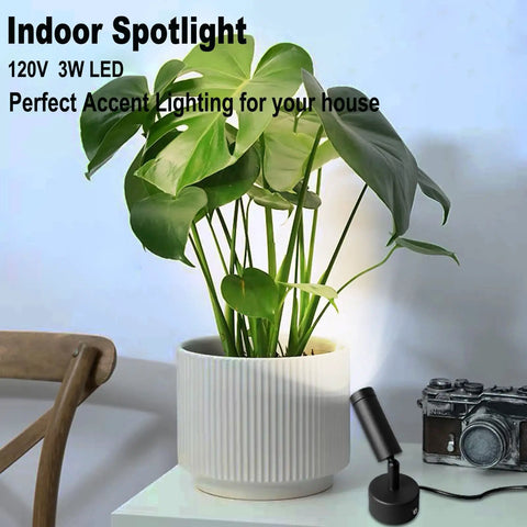 Mini LED indoor spotlight illuminating a houseplant on a white desk; 2 Pack Mini LED Indoor Spot Lights With 3W Warm White 3000K Uplights Plug In Floor Accent Lighting For Plants Artwork Photos Desks 10 Ft Cord Built In Foot Switch Make Your Space Pop.