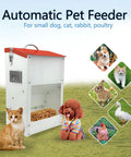 Heavy Duty Gravity Automatic Pet Feeder Galvanized Steel Food Trough Auto Refill Dispenser with pets and grains