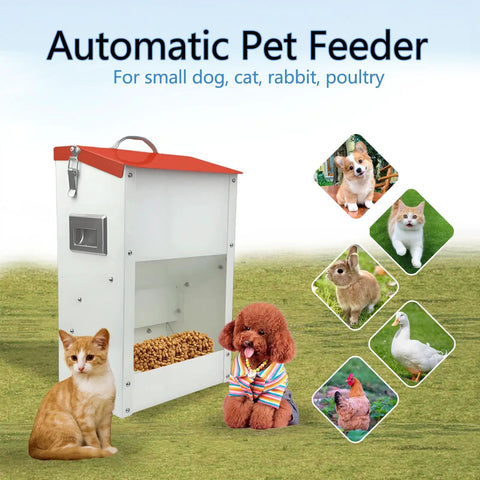 Heavy Duty Gravity Automatic Pet Feeder Galvanized Steel Food Trough Auto Refill Dispenser with pets and grains